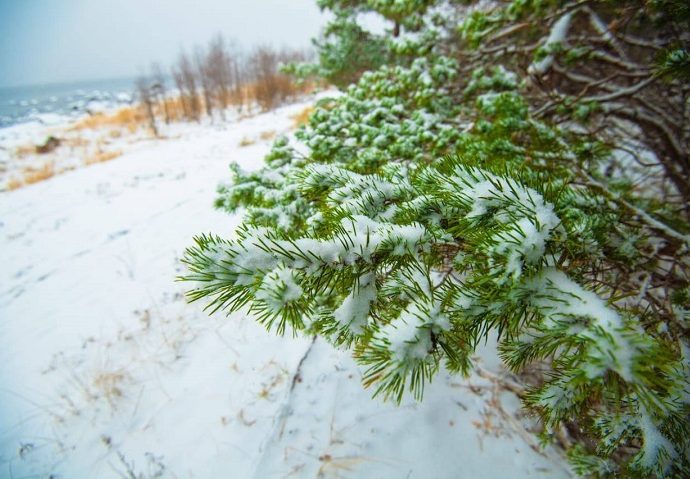 В Ленинградской области появится особо охраняемая природная территория